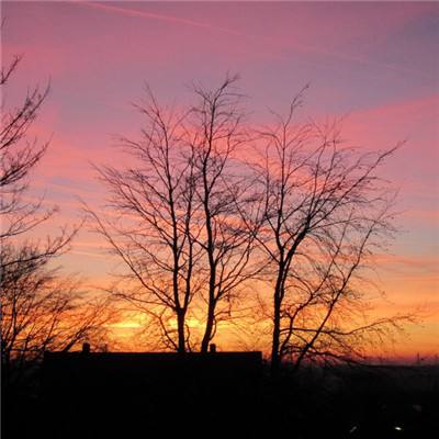 澳门第一娱乐娱城官网手机app下载