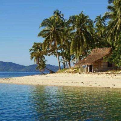 赏金女王下载ios