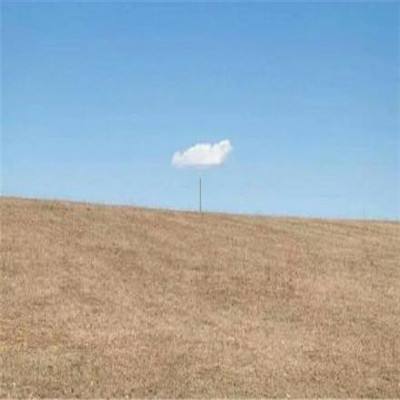 AG棋牌官方网站